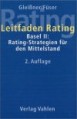Leitfaden Rating/ mit CD-ROM (Quick-Rater)