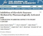 Inhibition of glycolytic enzymes mediated by pharmacologically activated p53: targeting Warburg effect to fight cancer