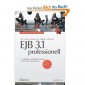 EJB 3.1 (Inkl. JPA 2.0)