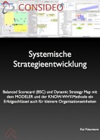 Systemische Strategieentwicklung