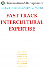 FAST TRACK INTERCULTURAL EXPERTISE