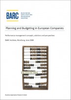 Planning and budgeting in European companies