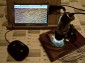 Digitalmikroskop mit Monitor am Raspberry Pi