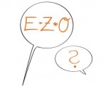Für mehr Erfolg E = Z x O