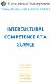 INTERCULTURAL COMPETENCE AT A GLANCE