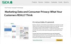 Kostenfreie Studie: "Marketing Data and Consumer Privacy - What Your   Custmers Really Think"