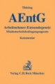 AEntG - Kommentar