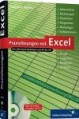 Praxislösungen mit Excel