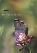 Labour Law and Protection