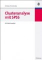 Clusteranalyse mit SPSS