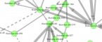 autask - Netzwerkanalysen zur schnelleren, besseren und übersichtlicheren Darstellung von Intercompany- Transaktionen verwenden
