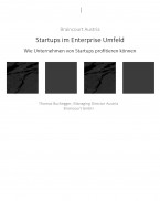 Startups im Enterprise Umfeld